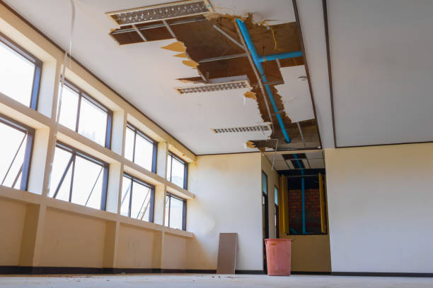  North Auburn, CA Water damage restoration Pros