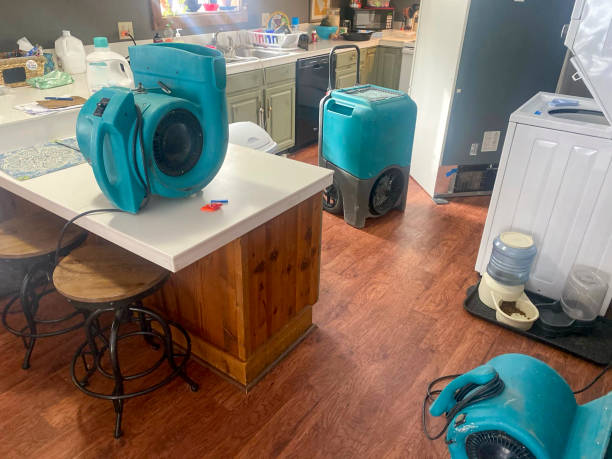 Best Commercial water damage restoration  in North Auburn, CA