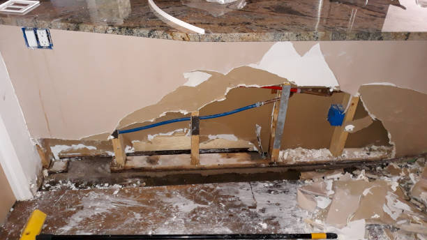 Best Mold removal after water damage  in North Auburn, CA