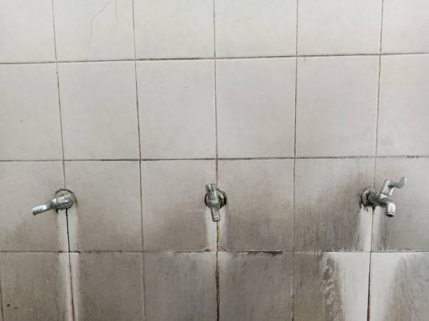 Best Sewage cleanup and water damage restoration  in North Auburn, CA