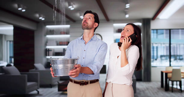 Best Flooded house restoration  in North Auburn, CA