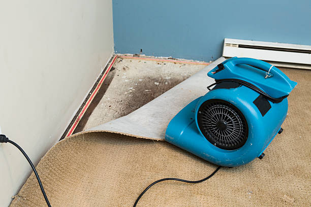 North Auburn, CA Water damage restoration Company